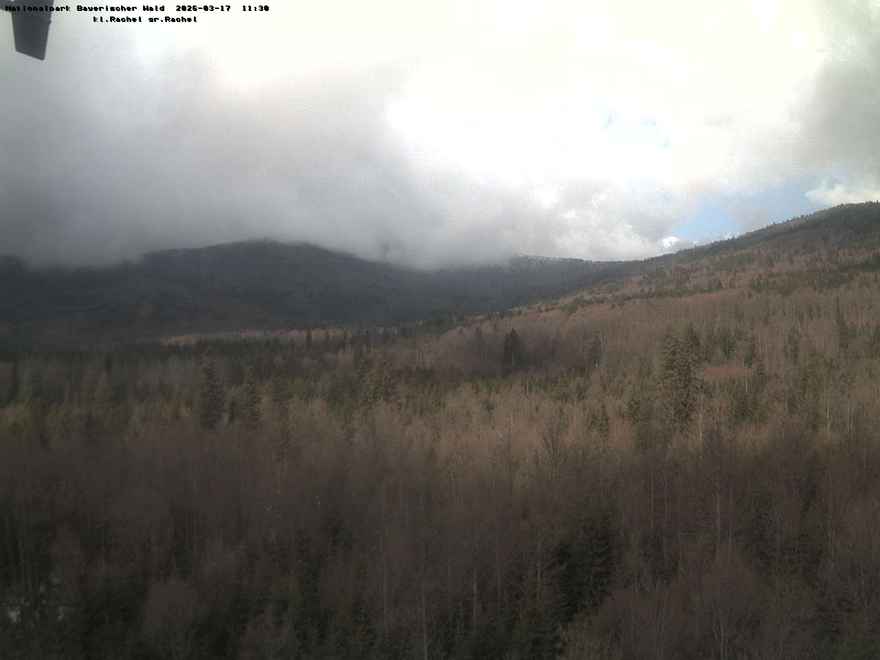 Archiv Foto Webcam Großer Rachel