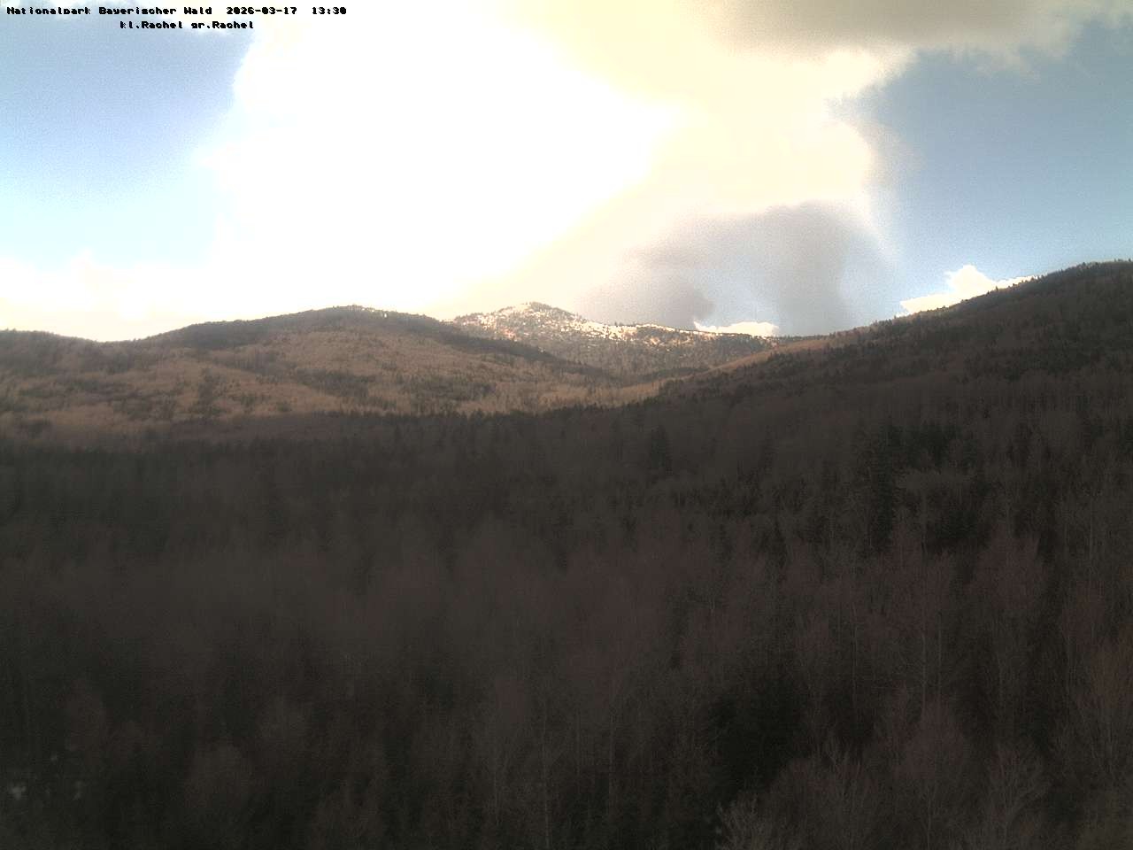 Archiv Foto Webcam Großer Rachel