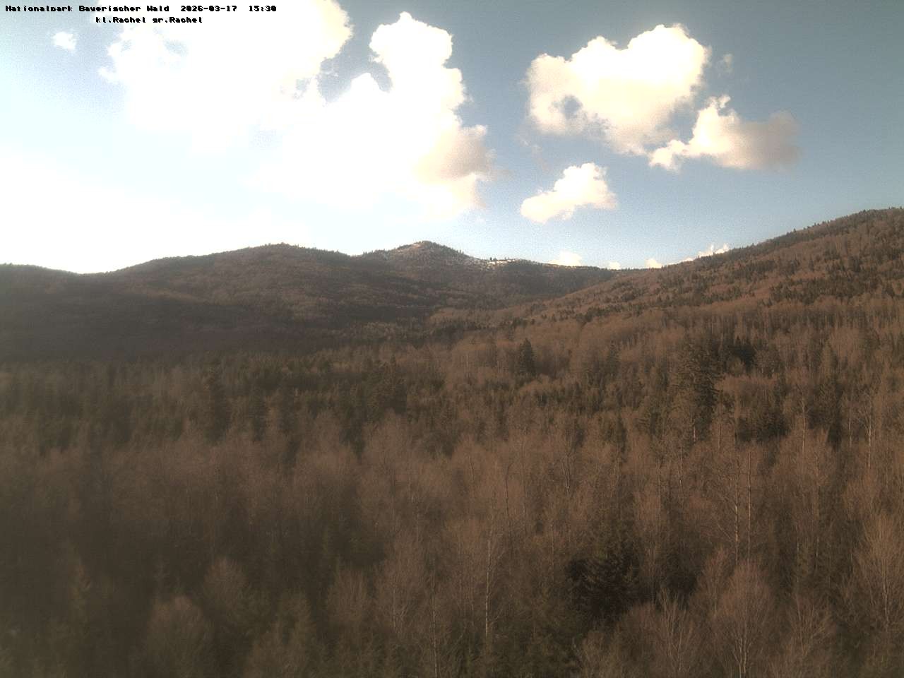 Archiv Foto Webcam Großer Rachel