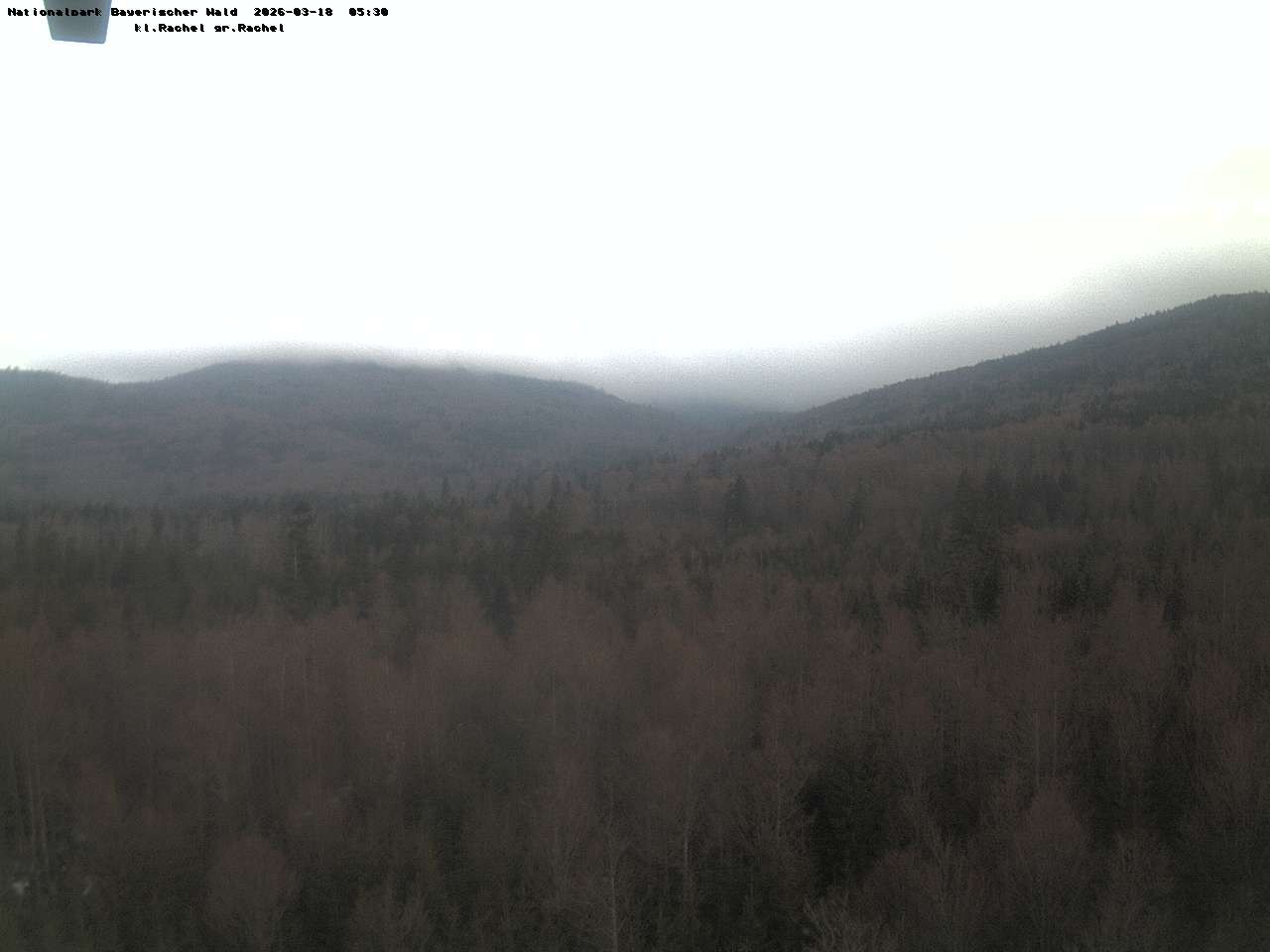 Archiv Foto Webcam Großer Rachel