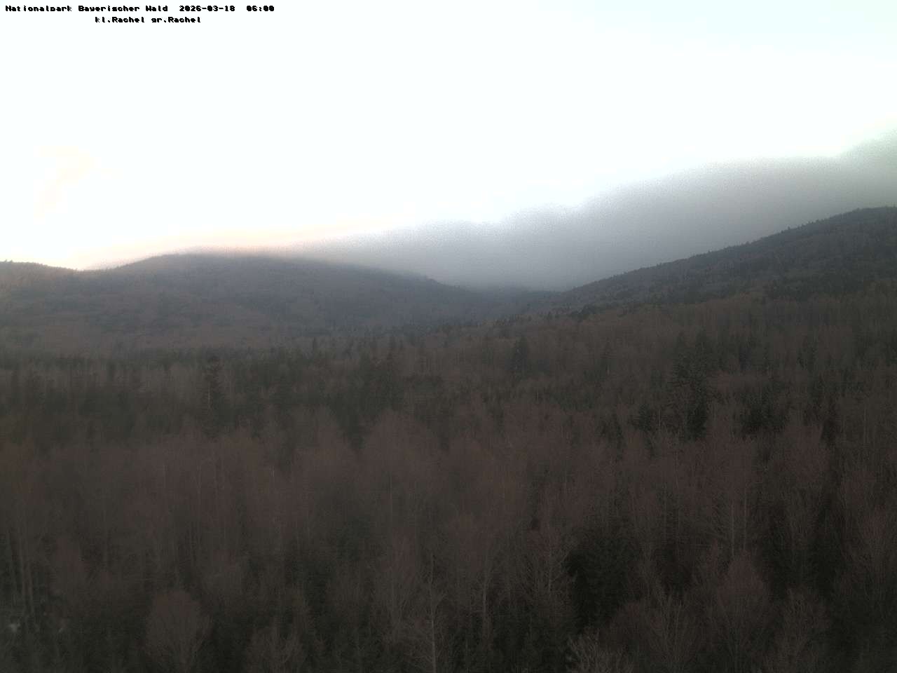 Archiv Foto Webcam Großer Rachel