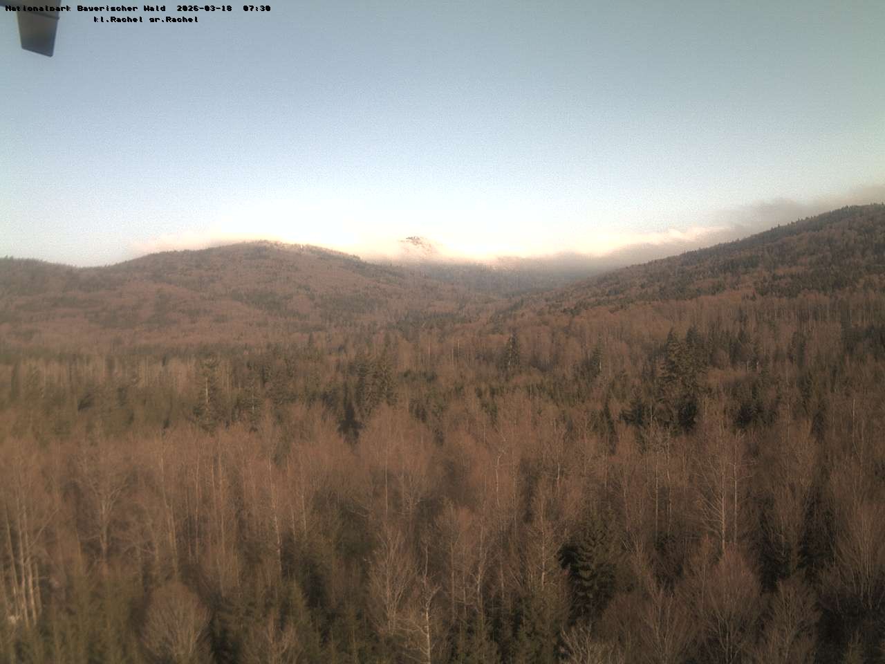 Archiv Foto Webcam Großer Rachel