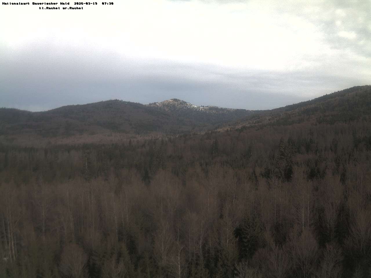 Archiv Foto Webcam Großer Rachel