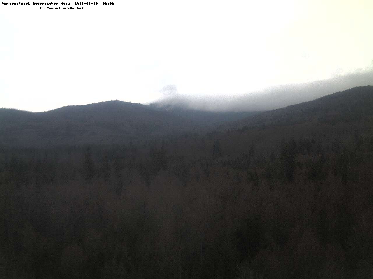 Archiv Foto Webcam Großer Rachel