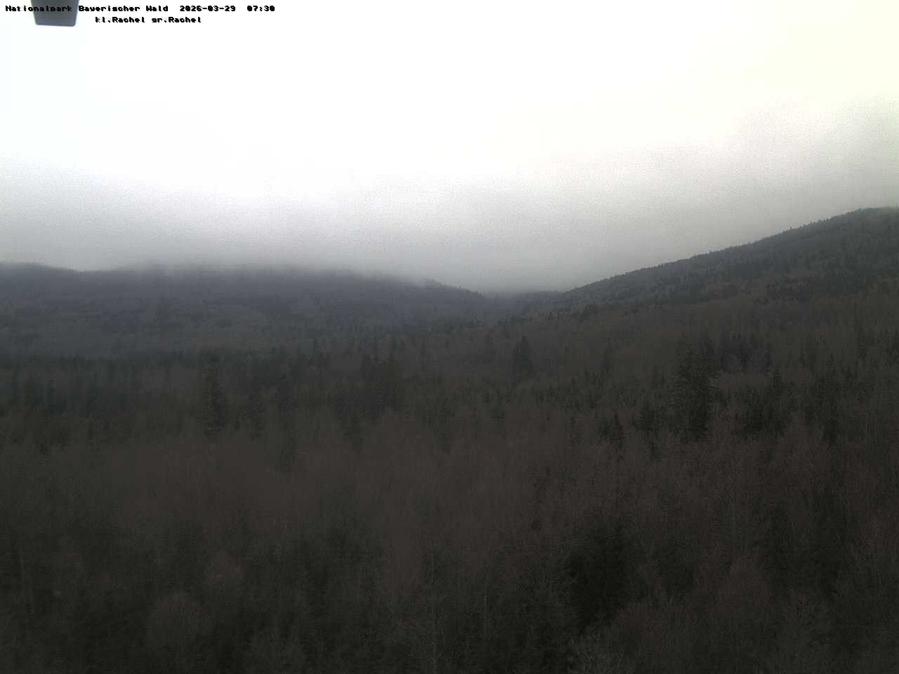 Archiv Foto Webcam Großer Rachel