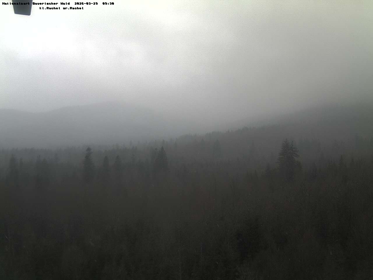 Archiv Foto Webcam Großer Rachel