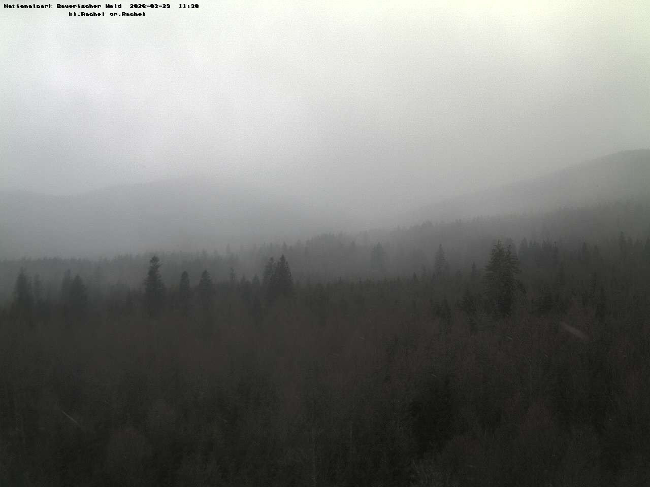 Archiv Foto Webcam Großer Rachel