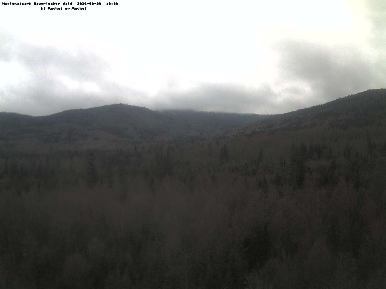 Archiv Foto Webcam Großer Rachel