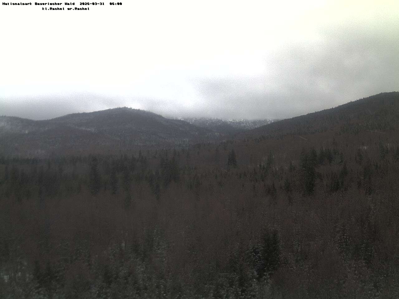 Archiv Foto Webcam Großer Rachel