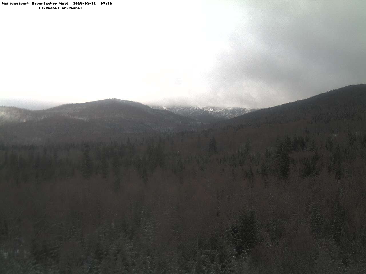 Archiv Foto Webcam Großer Rachel