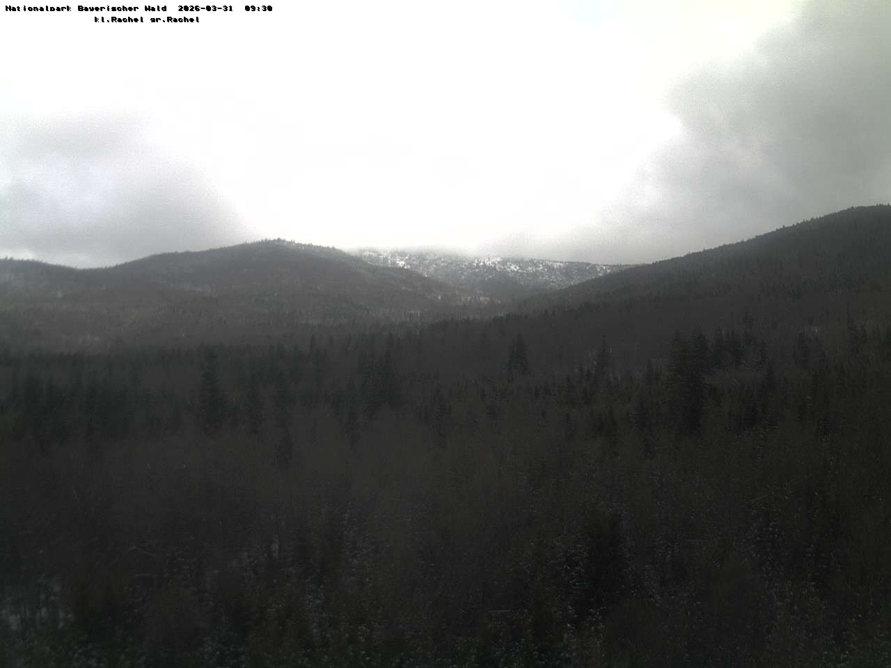 Archiv Foto Webcam Großer Rachel