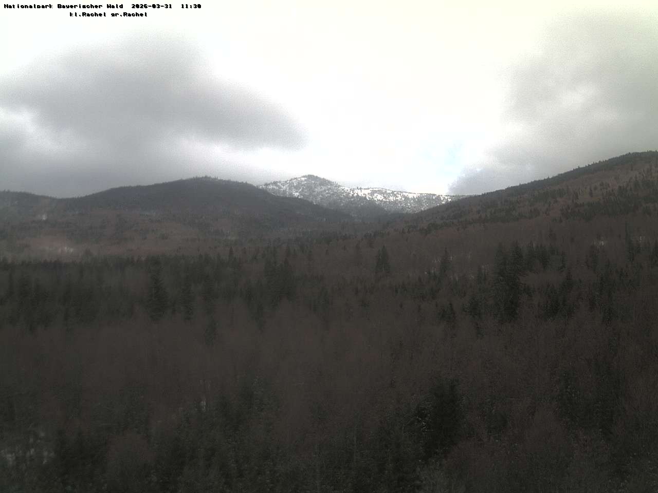 Archiv Foto Webcam Großer Rachel