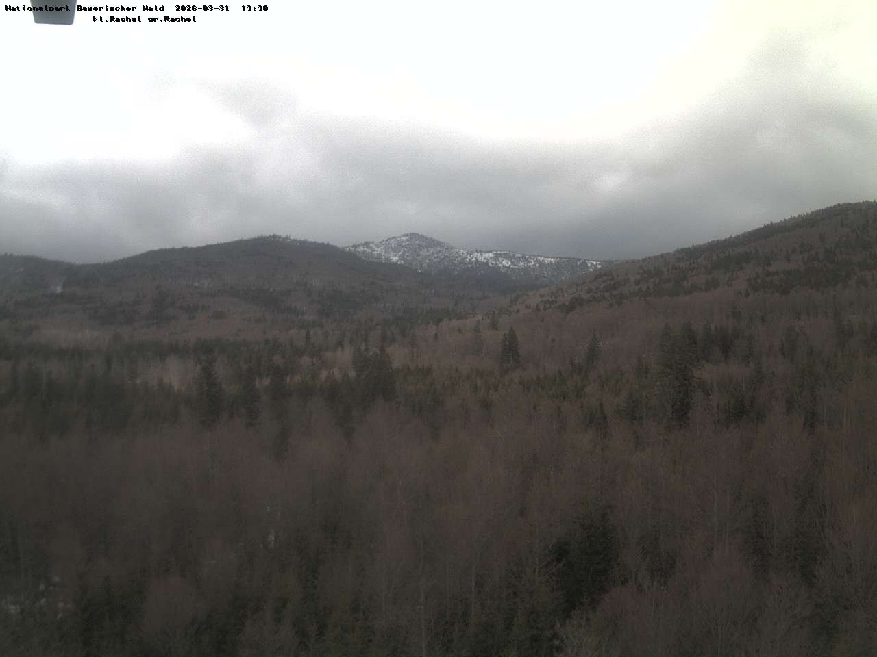 Archiv Foto Webcam Großer Rachel