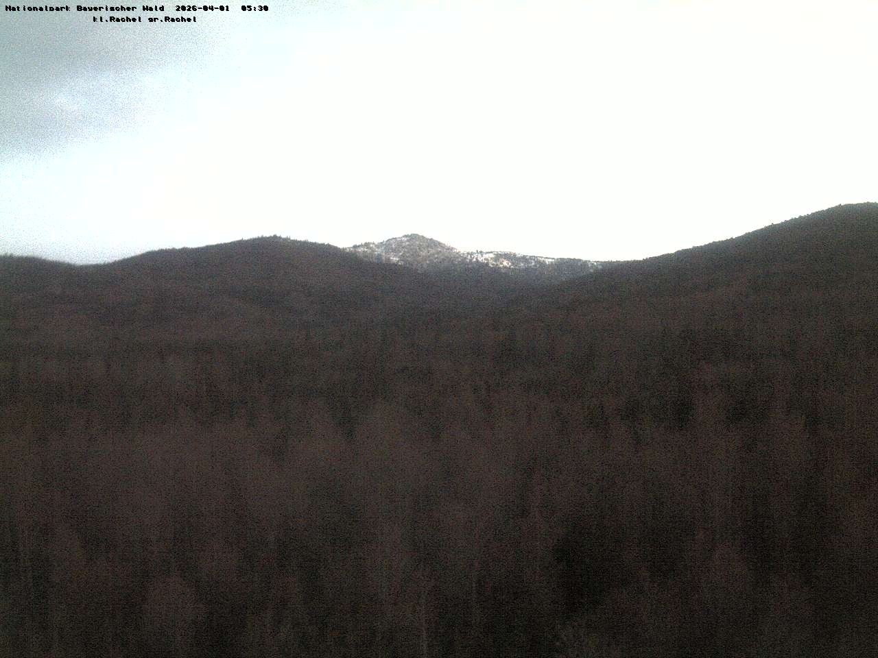 Archiv Foto Webcam Großer Rachel