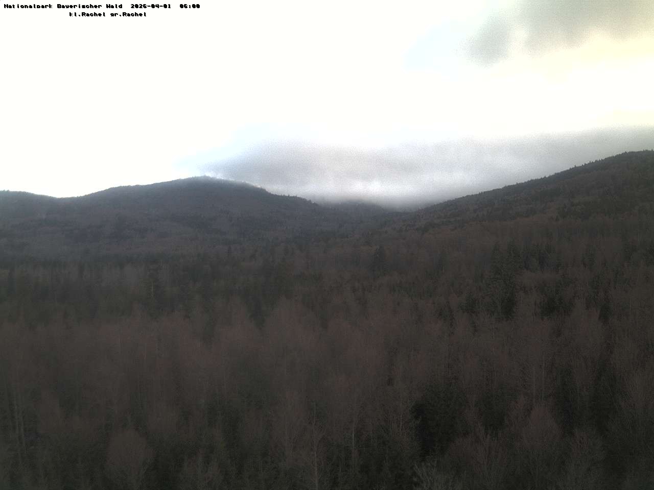 Archiv Foto Webcam Großer Rachel