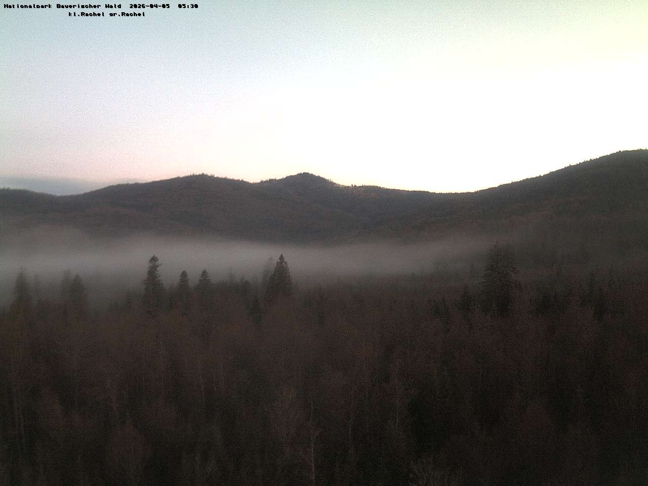 Archiv Foto Webcam Großer Rachel