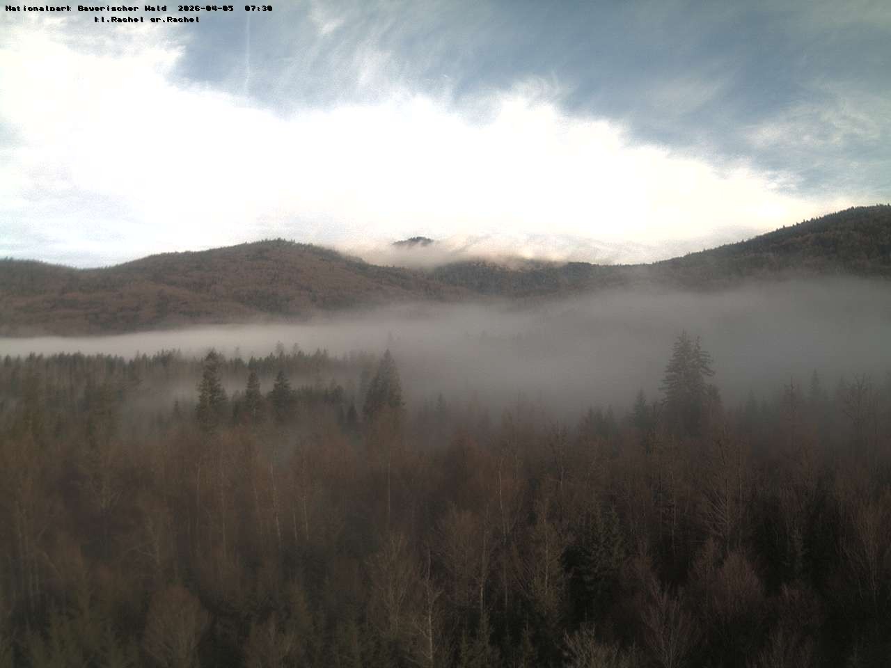 Archiv Foto Webcam Großer Rachel