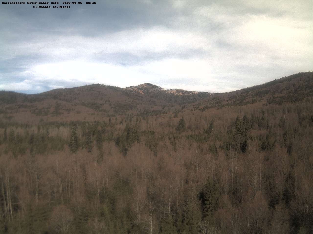 Archiv Foto Webcam Großer Rachel