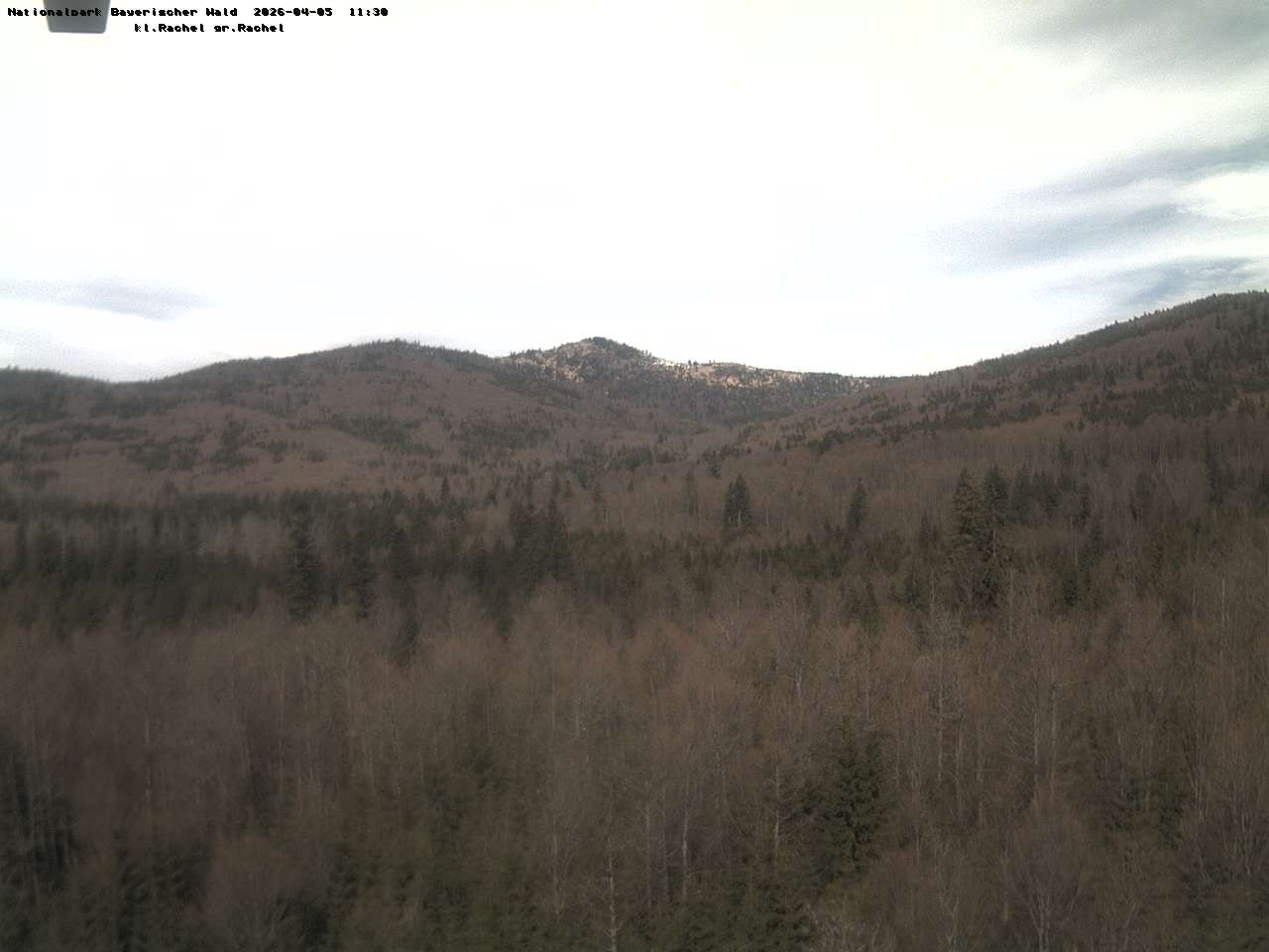 Archiv Foto Webcam Großer Rachel