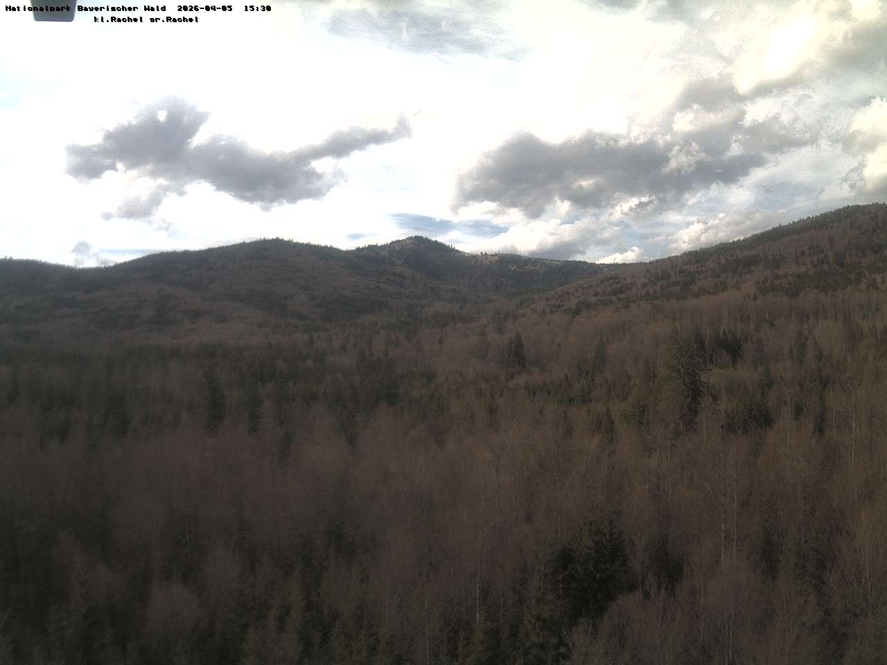 Archiv Foto Webcam Großer Rachel