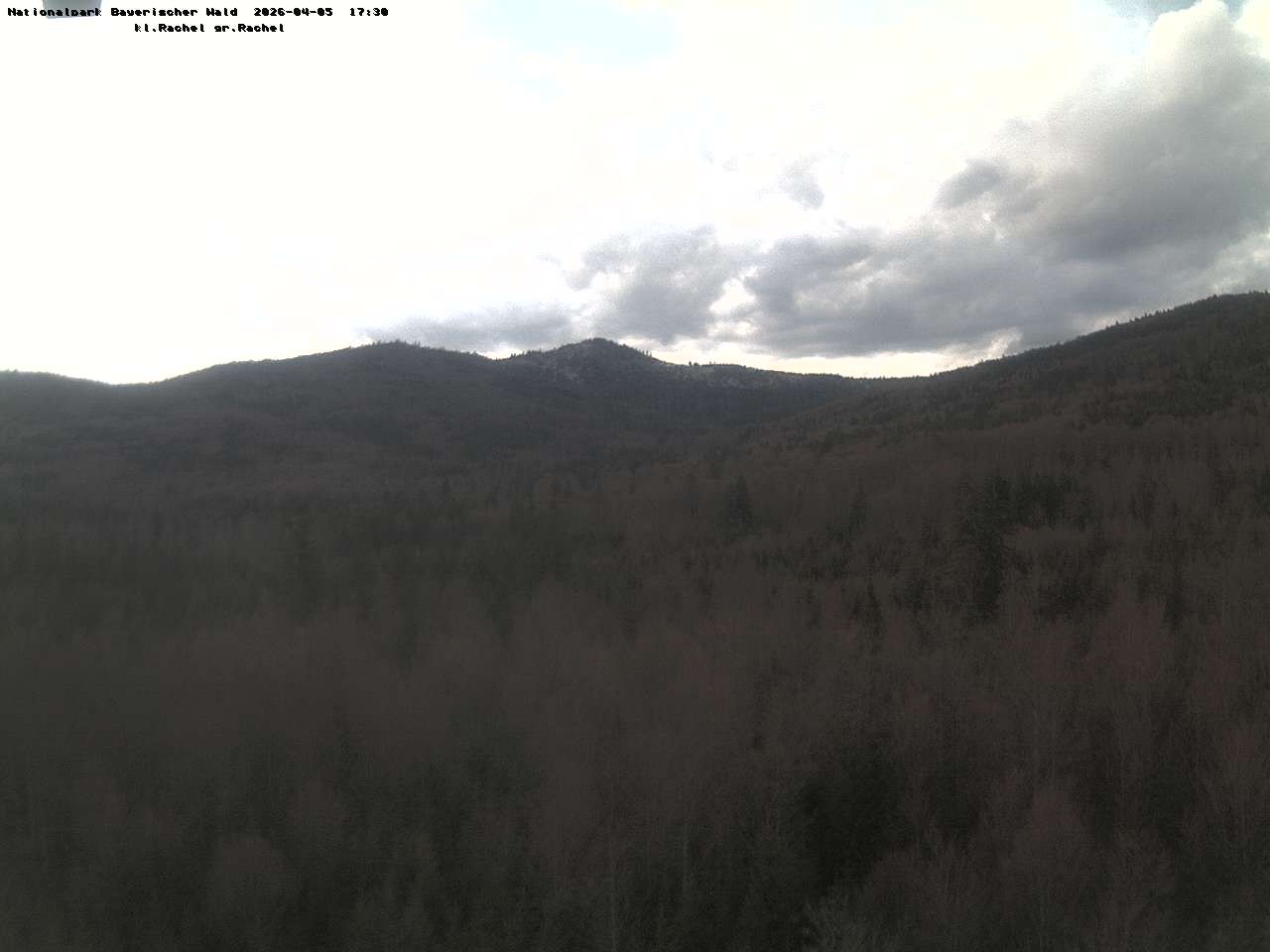Archiv Foto Webcam Großer Rachel