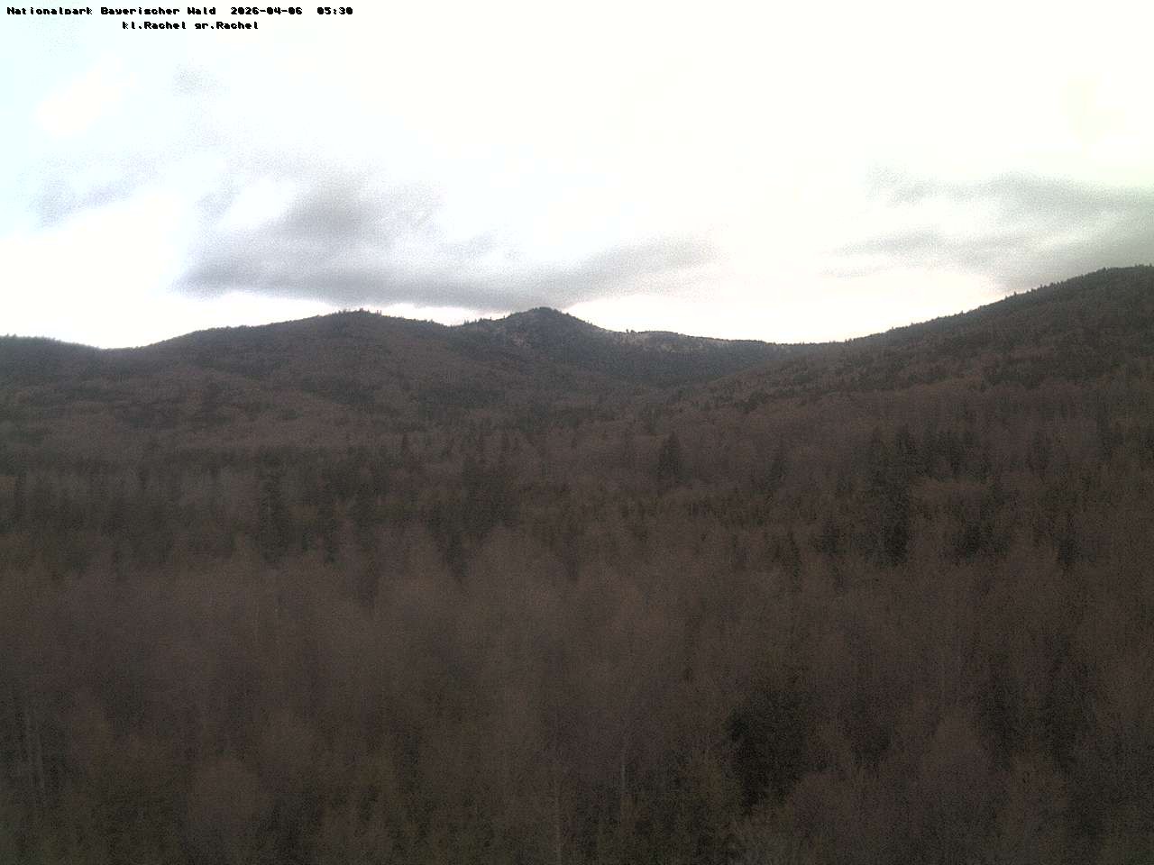 Archiv Foto Webcam Großer Rachel