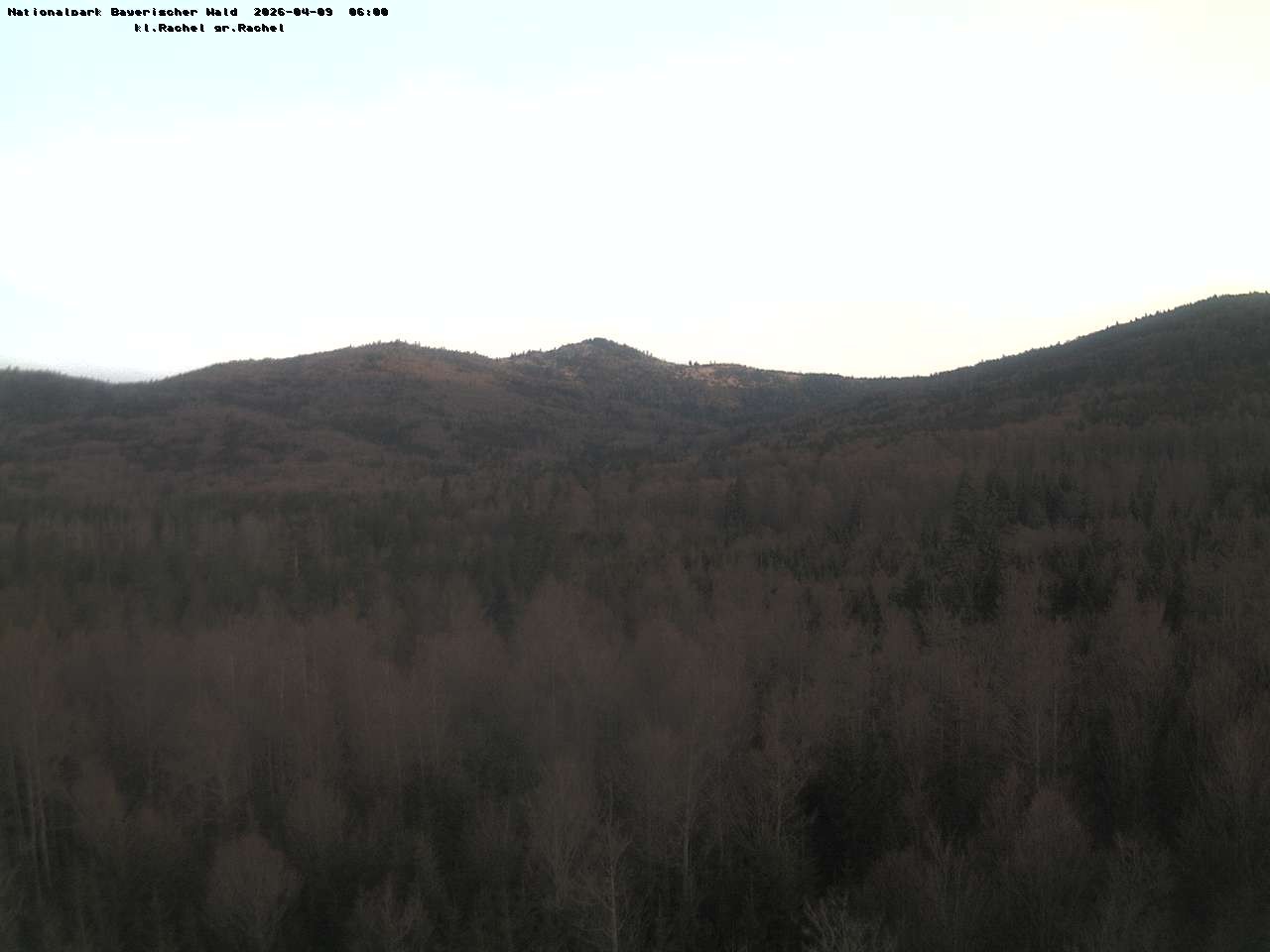 Archived image Webcam Großer Rachel summit