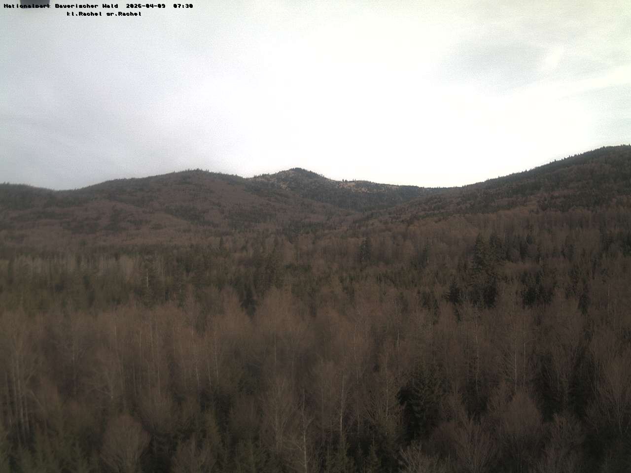 Archived image Webcam Großer Rachel summit