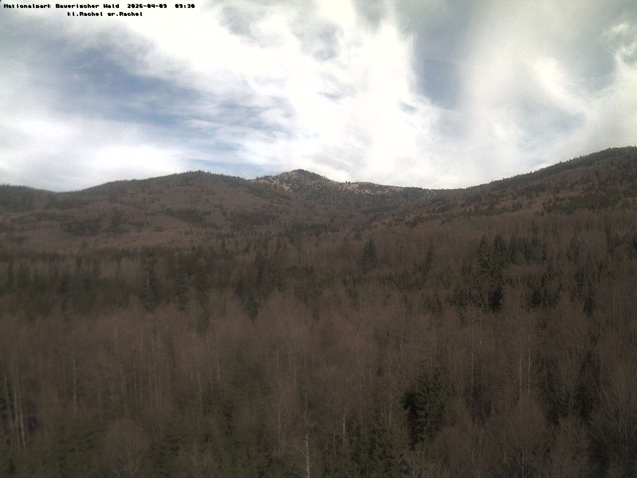 Archived image Webcam Großer Rachel summit