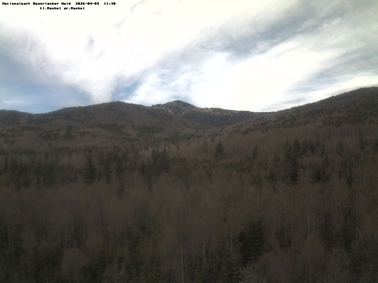 Archived image Webcam Großer Rachel summit