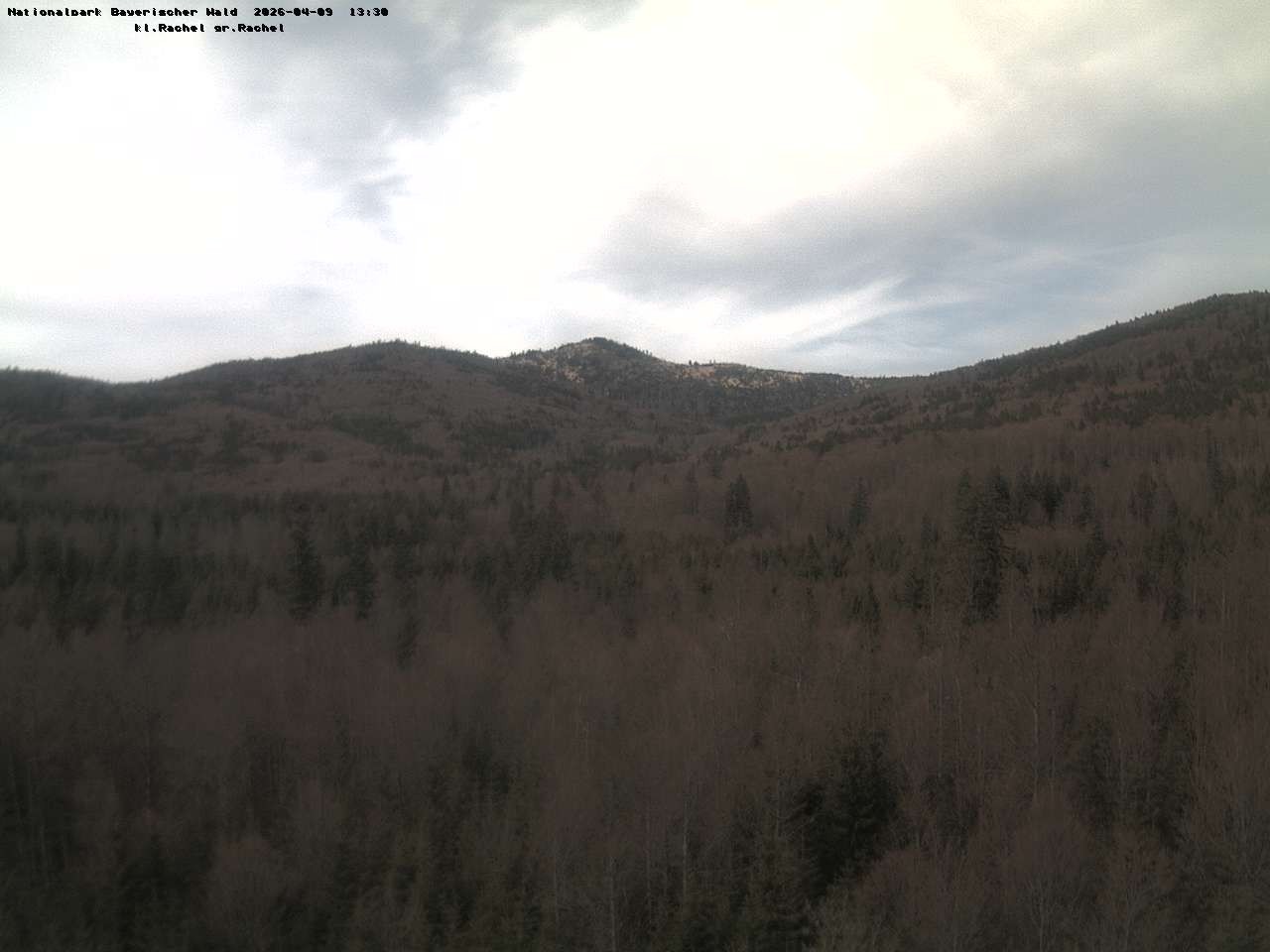 Archived image Webcam Großer Rachel summit