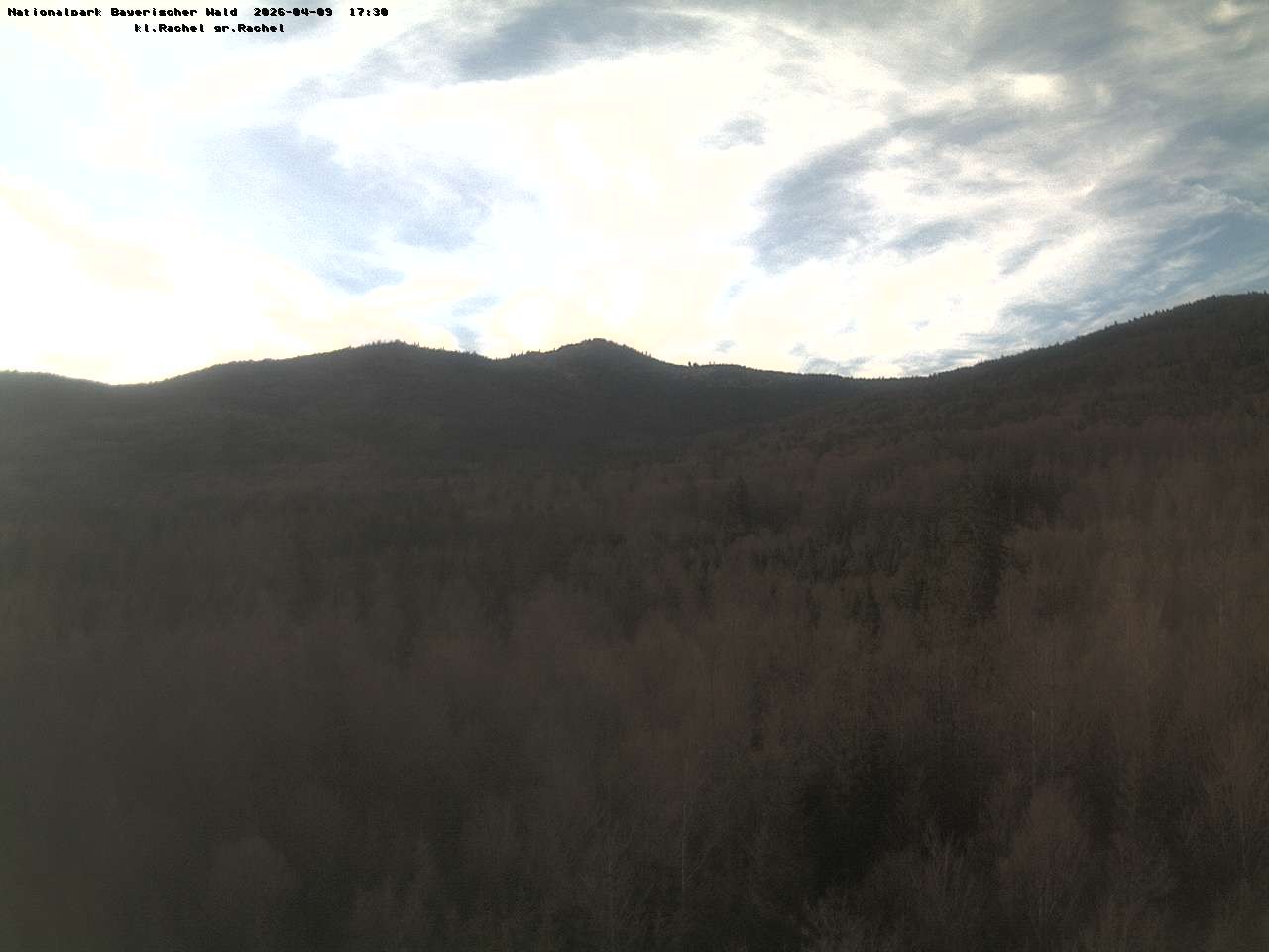 Archiv Foto Webcam Großer Rachel