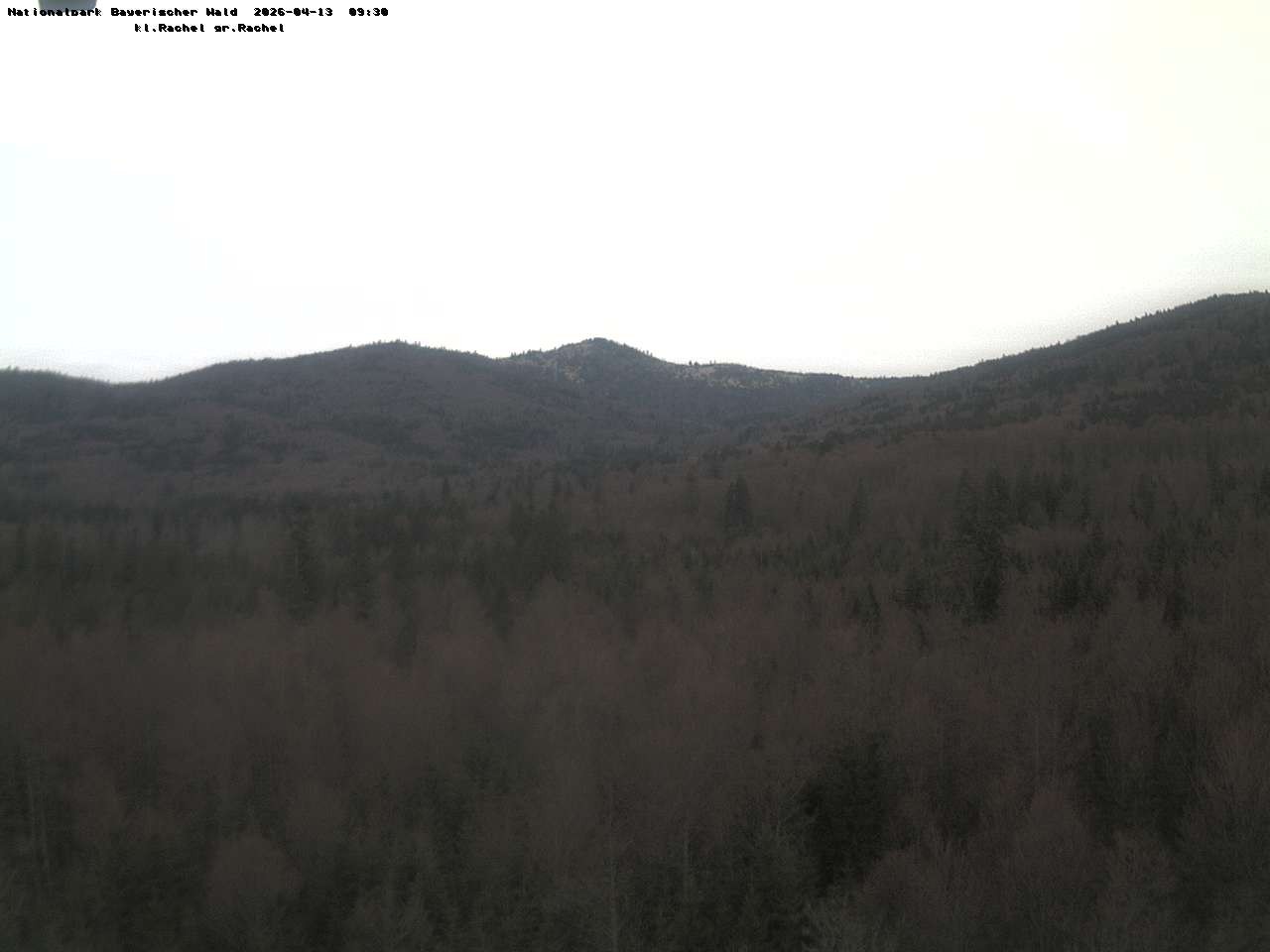 Archiv Foto Webcam Großer Rachel