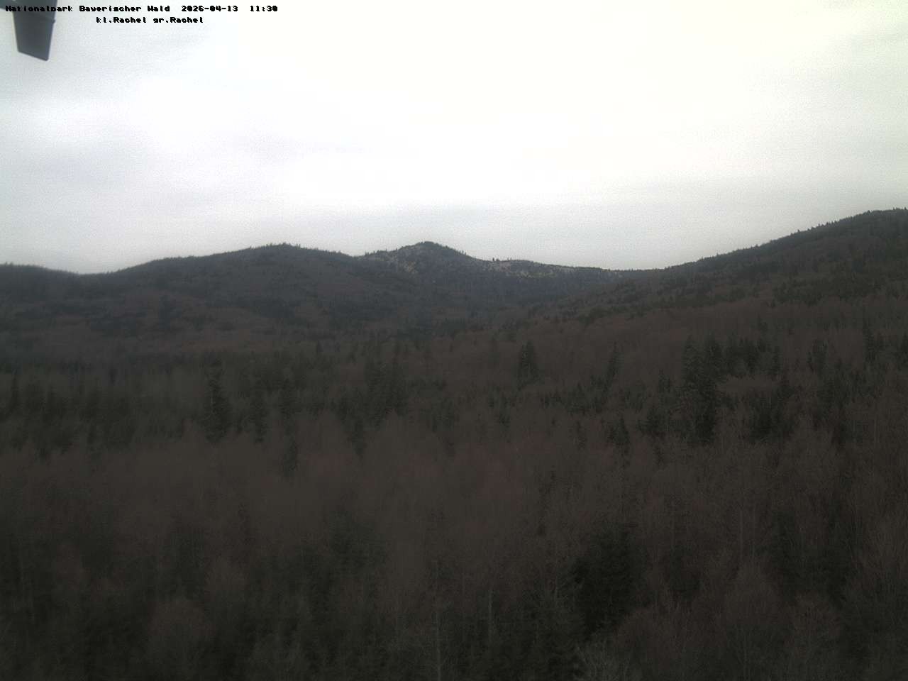Archiv Foto Webcam Großer Rachel