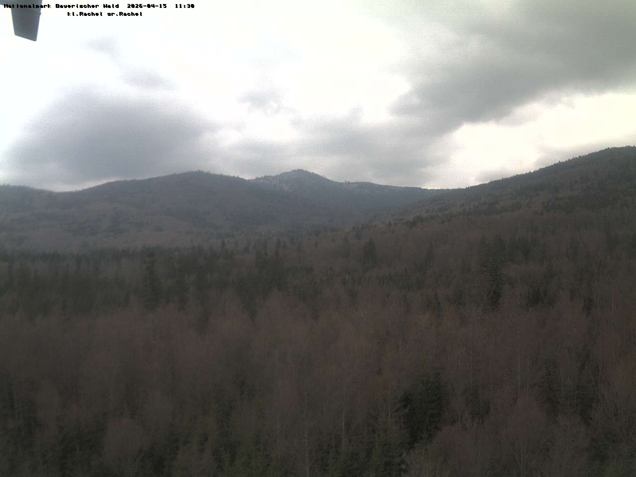 Archived image Webcam Großer Rachel summit