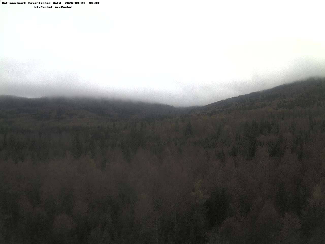 Archiv Foto Webcam Großer Rachel