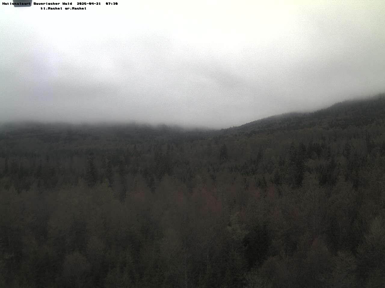 Archiv Foto Webcam Großer Rachel