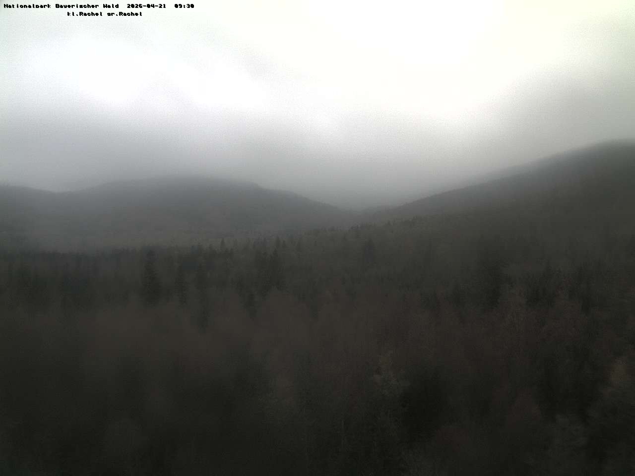 Archiv Foto Webcam Großer Rachel