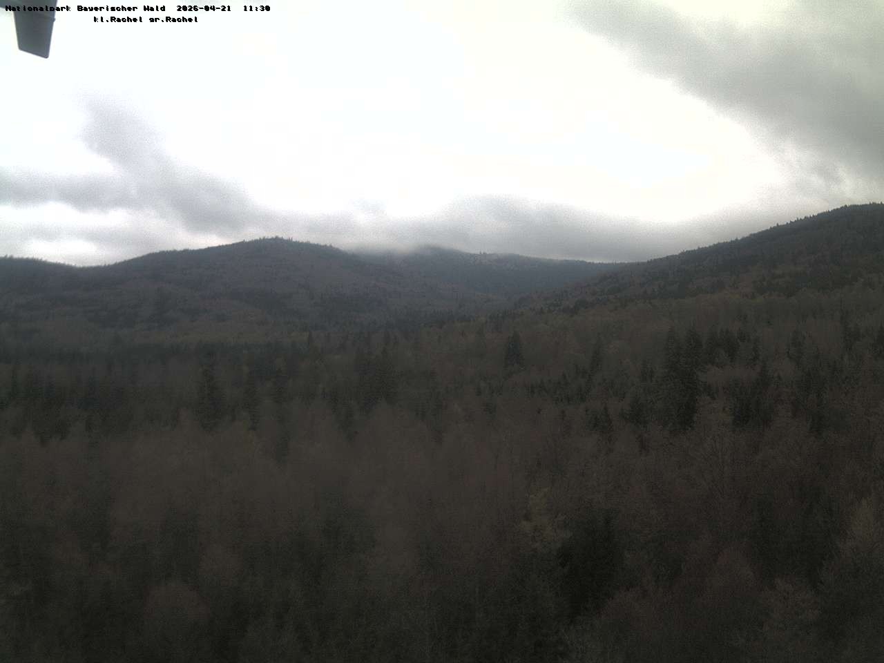 Archiv Foto Webcam Großer Rachel