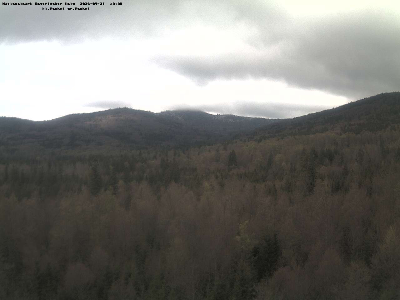 Archiv Foto Webcam Großer Rachel