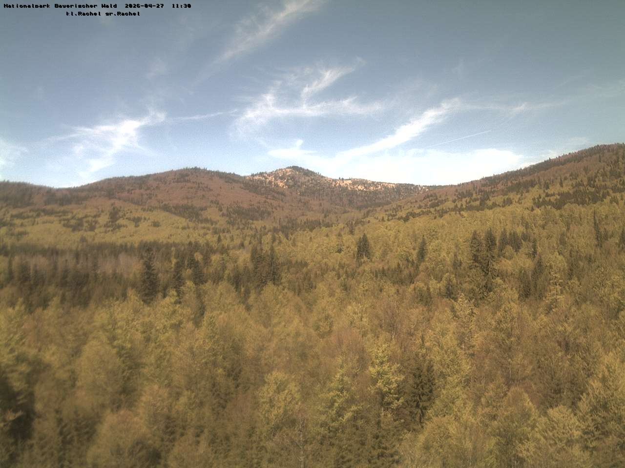 Archiv Foto Webcam Großer Rachel