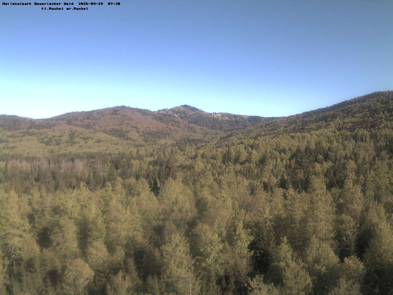 Archiv Foto Webcam Großer Rachel