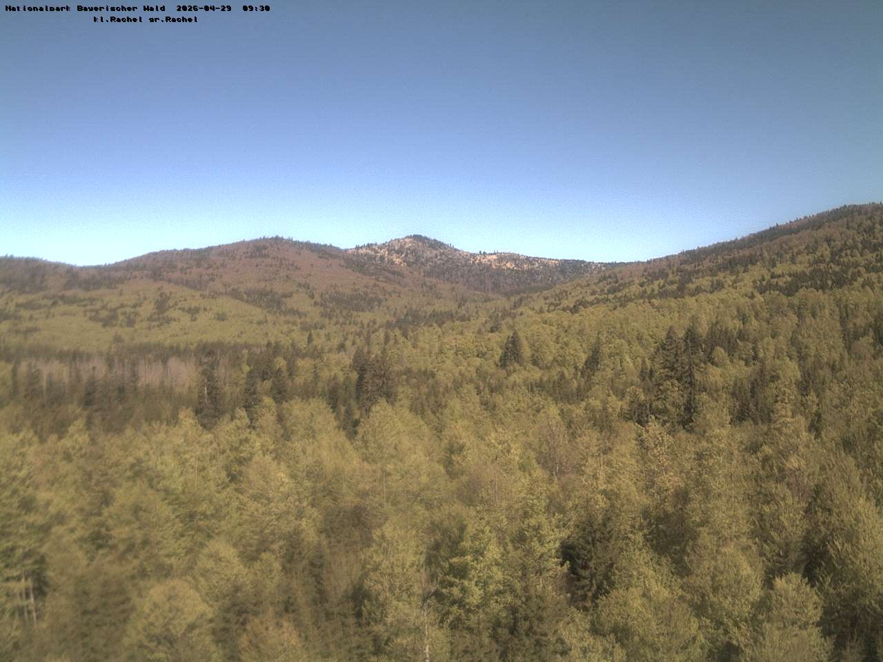 Archiv Foto Webcam Großer Rachel