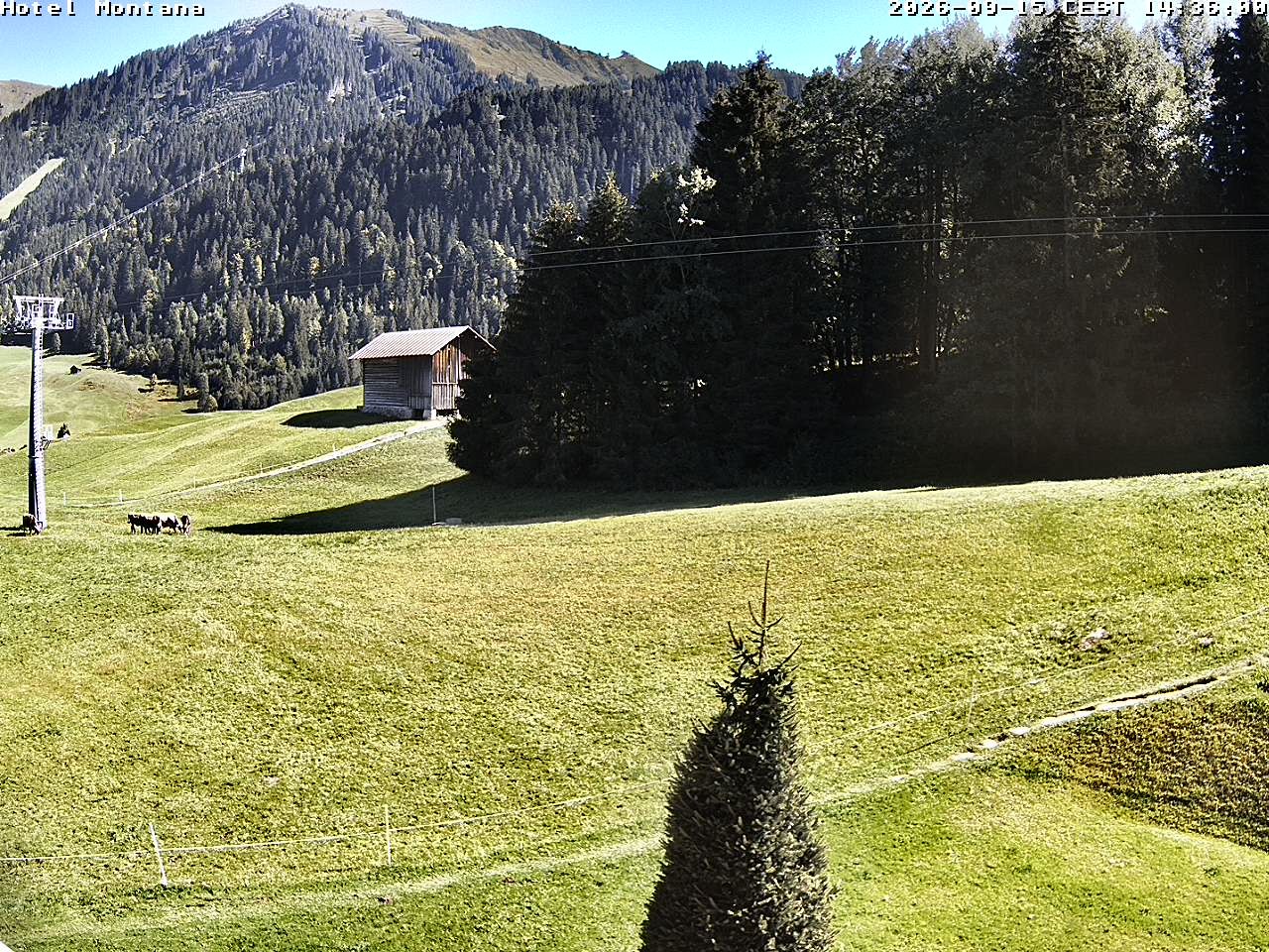 Archived image Webcam Riezlern - Hotel Montana