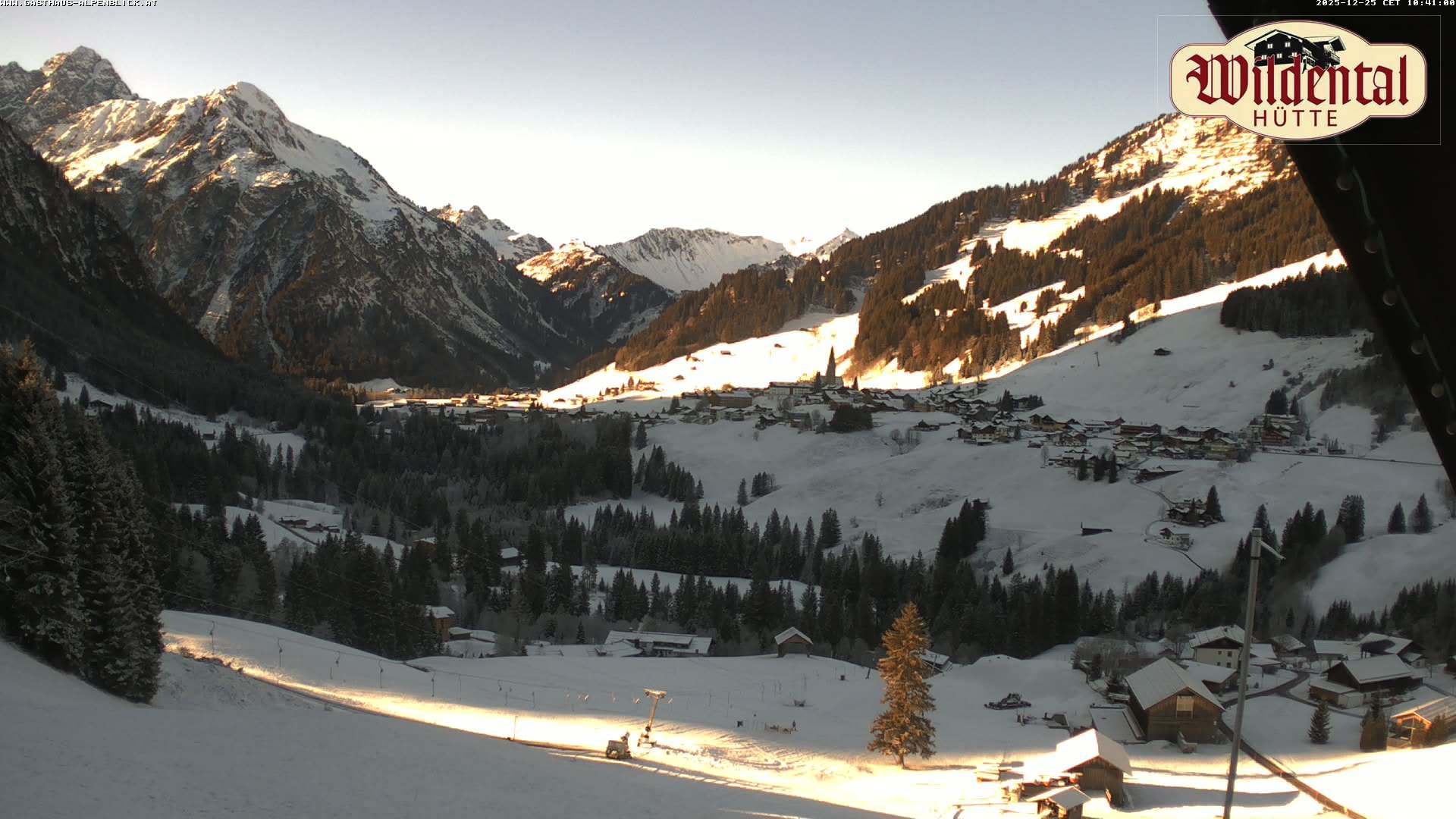 Archiv Foto Webcam Wildentalhütte, Höfle