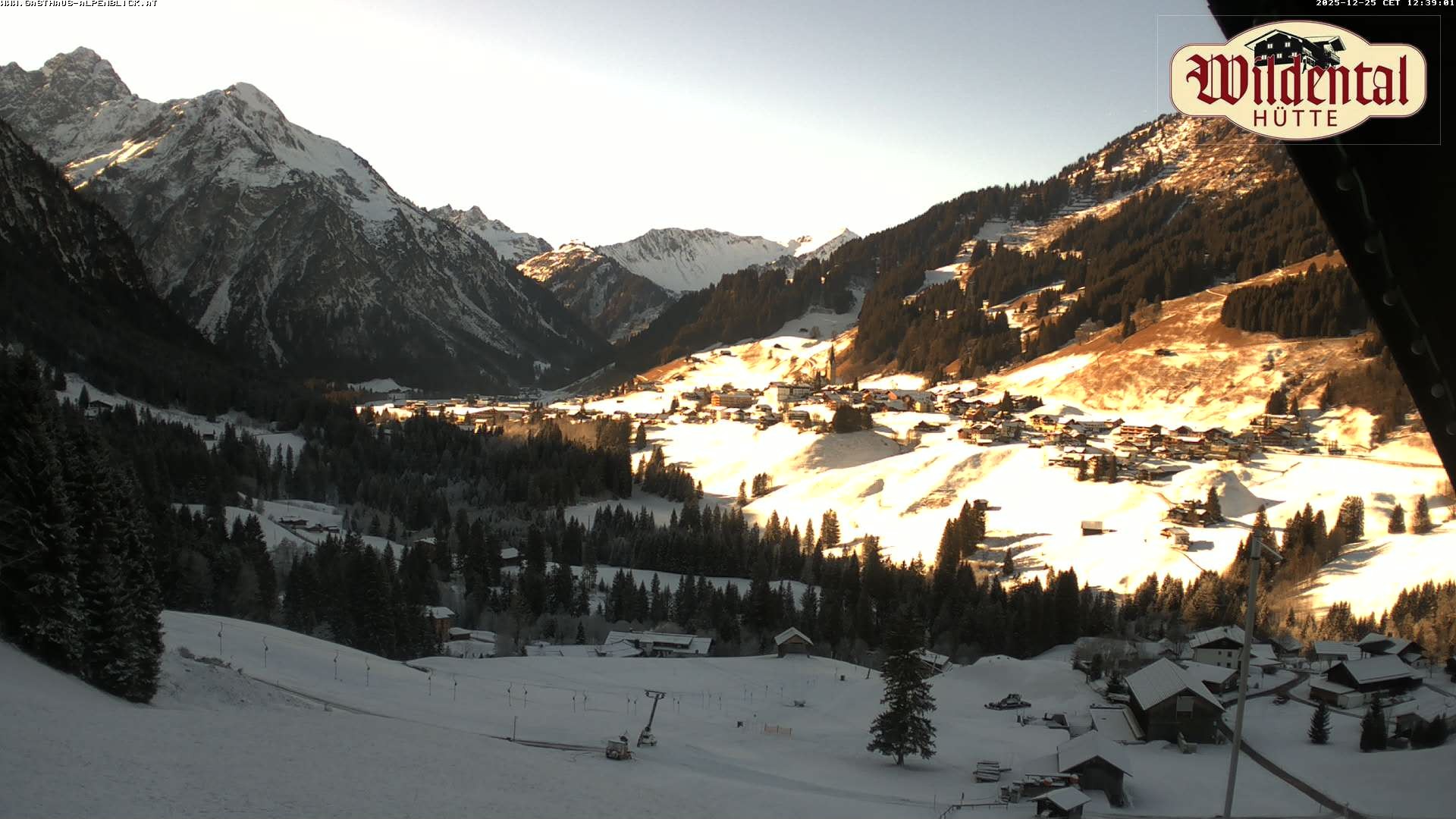 Archiv Foto Webcam Wildentalhütte, Höfle
