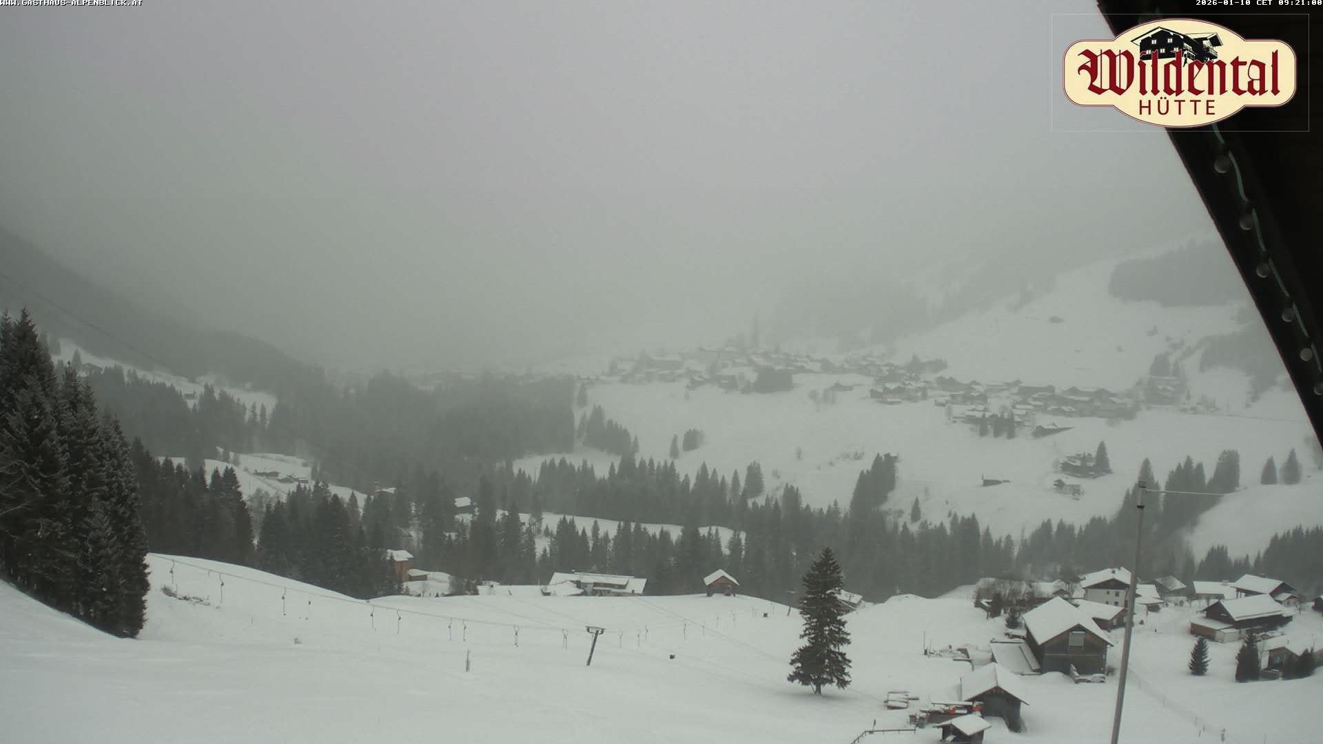 Archiv Foto Webcam Wildentalhütte, Höfle