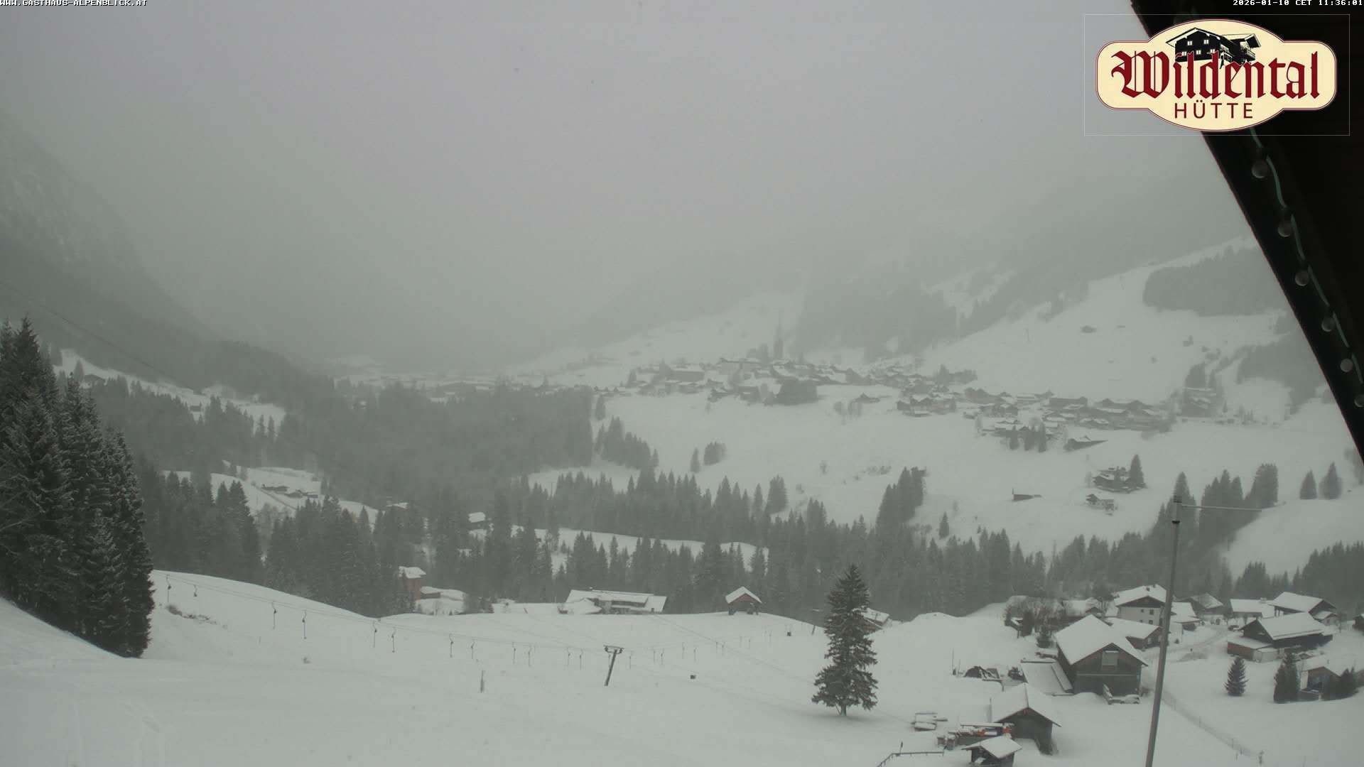 Archiv Foto Webcam Wildentalhütte, Höfle