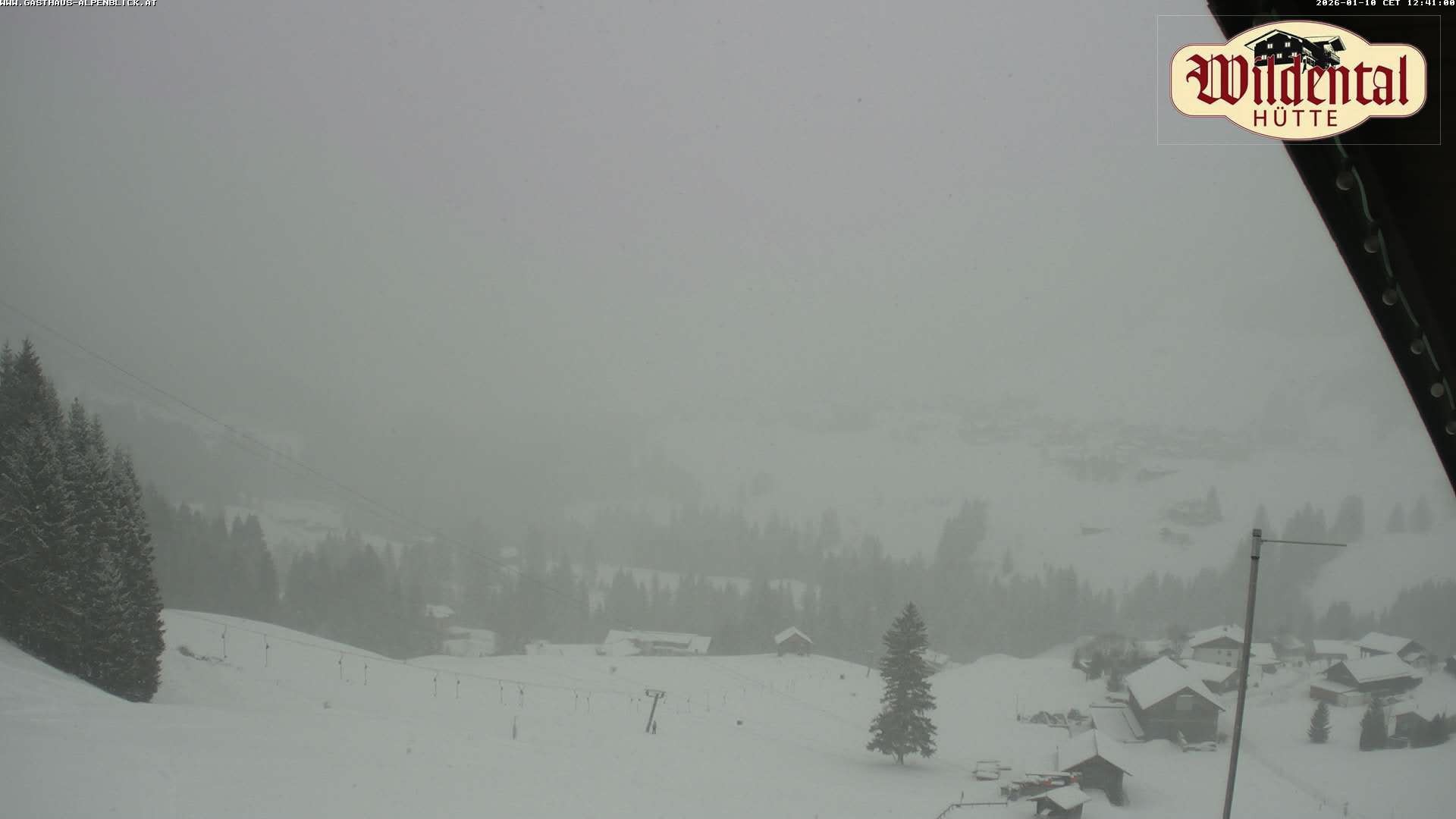 Archiv Foto Webcam Wildentalhütte, Höfle