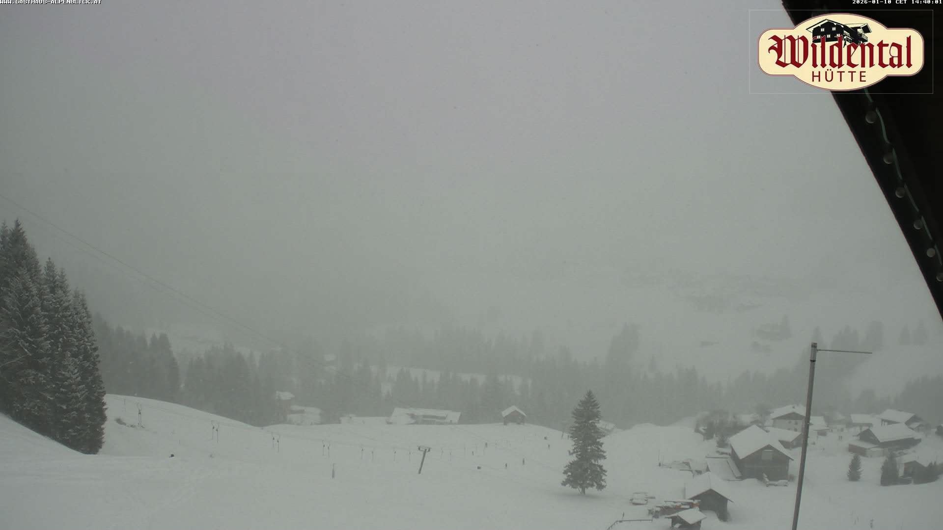 Archiv Foto Webcam Wildentalhütte, Höfle